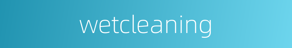 wetcleaning的同义词