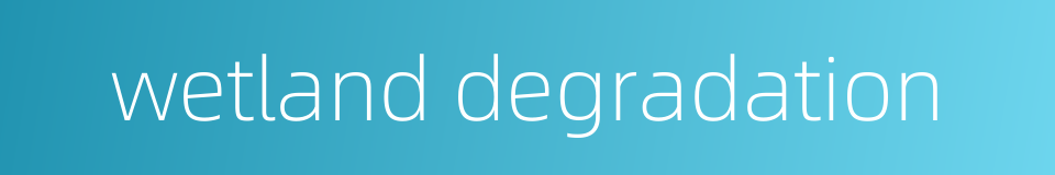 wetland degradation的同义词