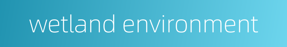 wetland environment的同义词