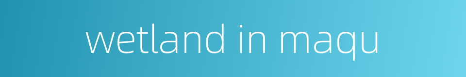 wetland in maqu的同义词