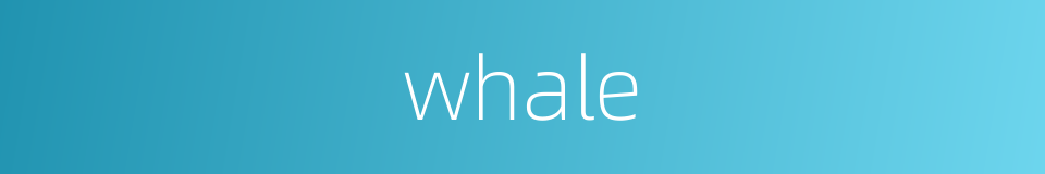 whale的同义词