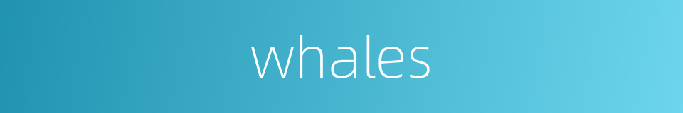 whales的同义词