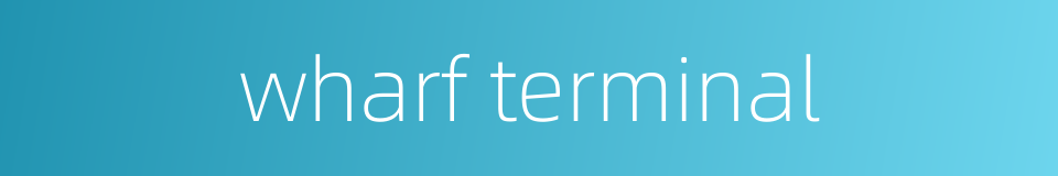 wharf terminal的同义词