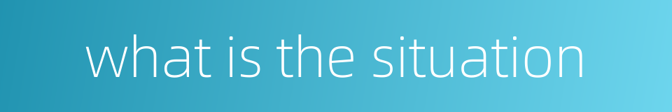 what is the situation的同义词