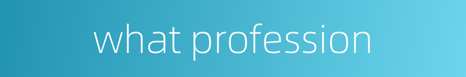 what profession的同义词