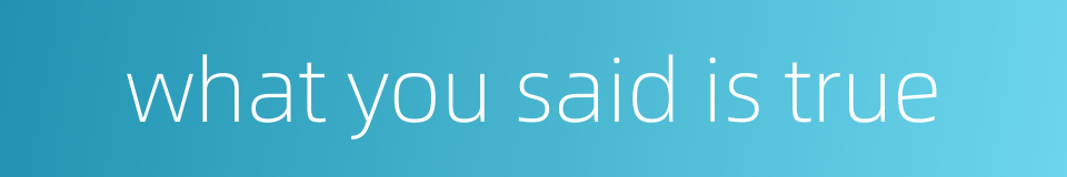 what you said is true的同义词