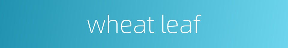 wheat leaf的同义词