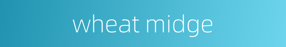wheat midge的同义词