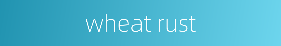 wheat rust的同义词
