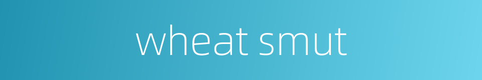wheat smut的同义词