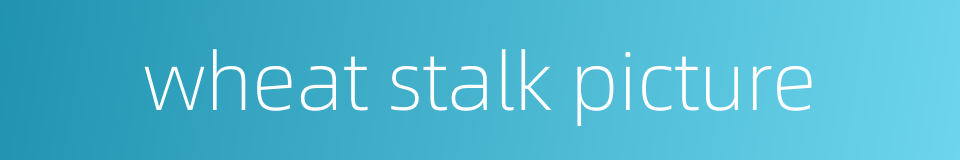 wheat stalk picture的同义词