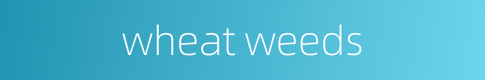 wheat weeds的同义词