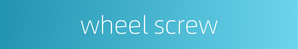 wheel screw的同义词