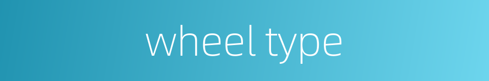 wheel type的同义词