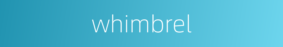 whimbrel的同义词