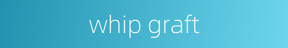 whip graft的同义词