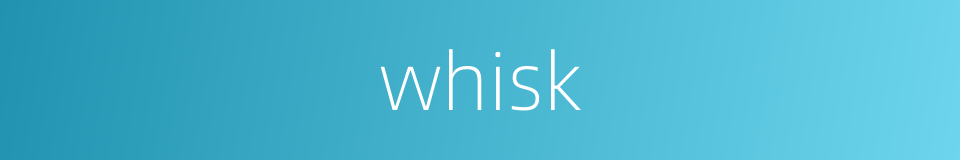 whisk的同义词