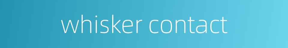 whisker contact的同义词