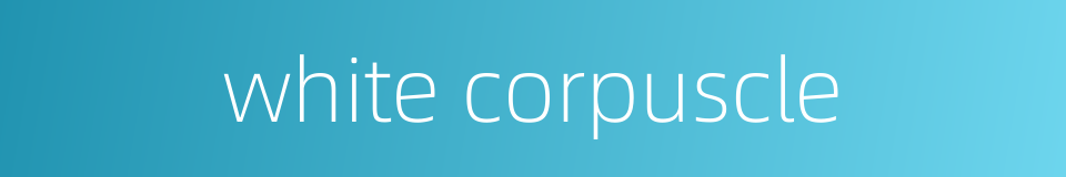 white corpuscle的同义词
