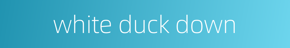 white duck down的同义词