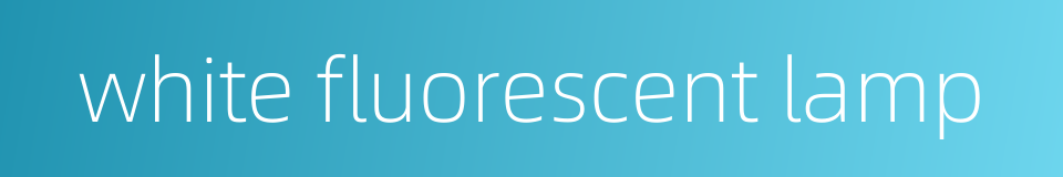white fluorescent lamp的同义词