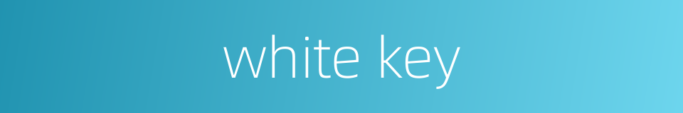 white key的同义词