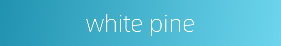 white pine的同义词