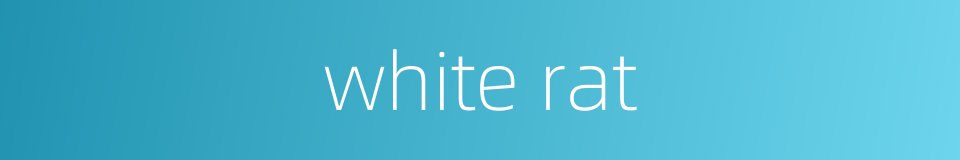 white rat的同义词