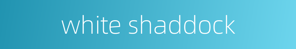 white shaddock的同义词