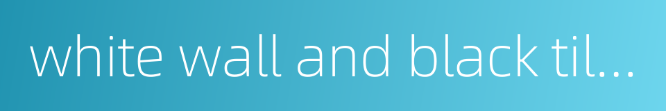 white wall and black tiles的同义词