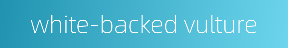 white-backed vulture的同义词