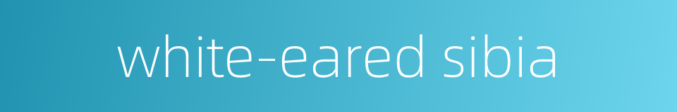 white-eared sibia的同义词