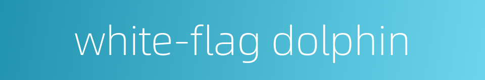 white-flag dolphin的同义词