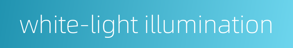 white-light illumination的同义词