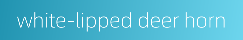 white-lipped deer horn的同义词