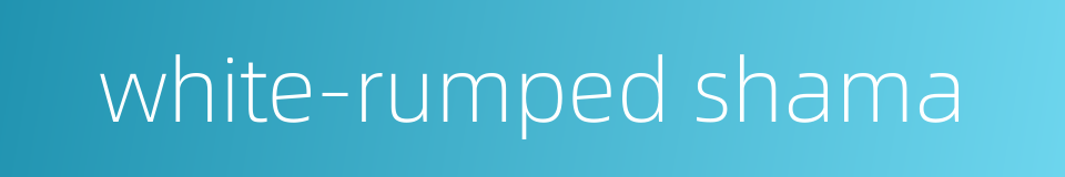 white-rumped shama的同义词