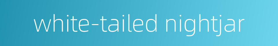 white-tailed nightjar的同义词