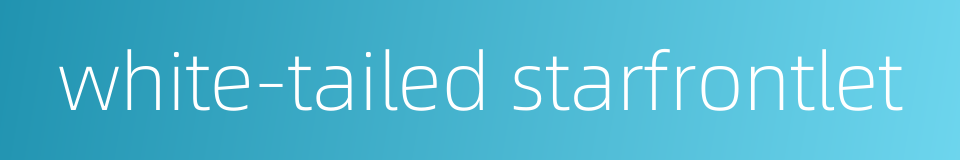 white-tailed starfrontlet的同义词