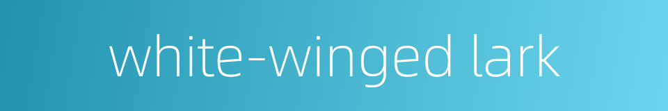 white-winged lark的同义词