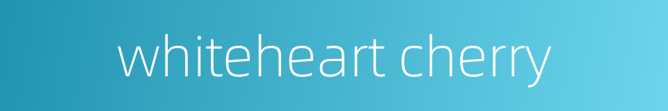 whiteheart cherry的同义词