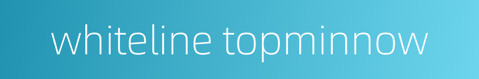whiteline topminnow的同义词