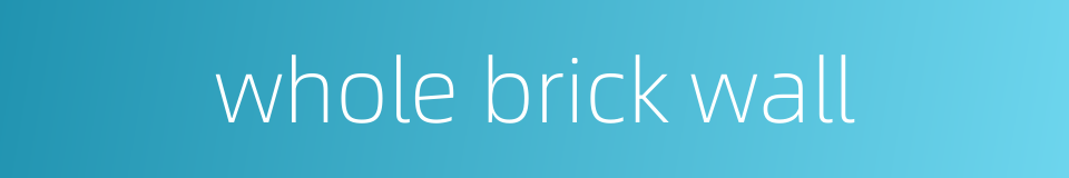 whole brick wall的同义词