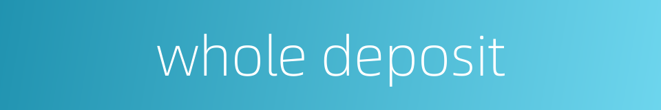 whole deposit的同义词