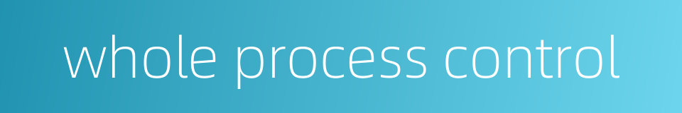 whole process control的同义词