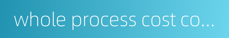 whole process cost consultation的同义词