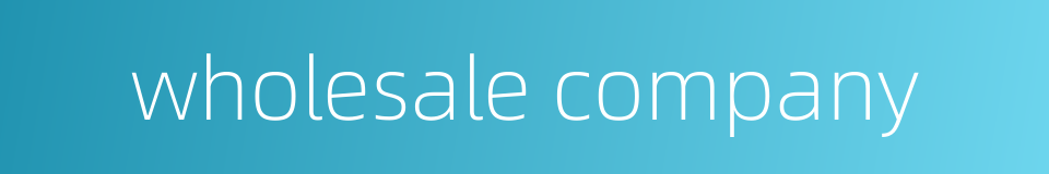 wholesale company的同义词