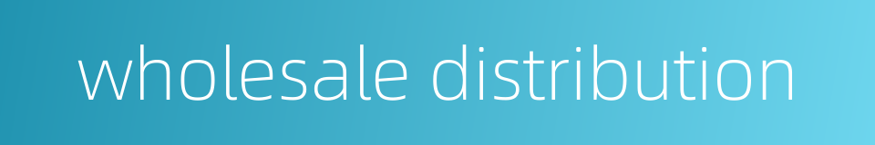 wholesale distribution的同义词