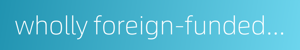 wholly foreign-funded bank的同义词