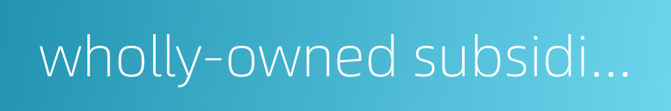 wholly-owned subsidiary的同义词