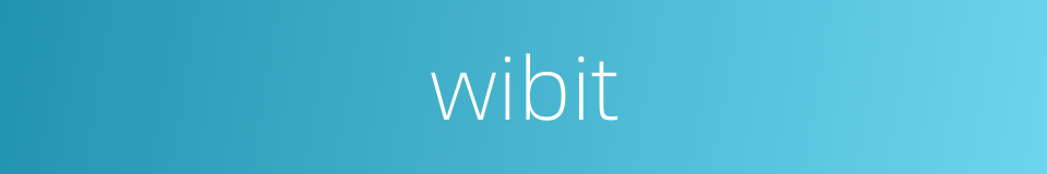 wibit的同义词